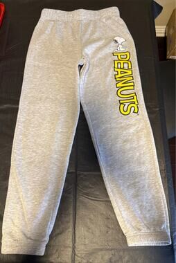 Peanuts Snoopy Gray Small Sweat Pants